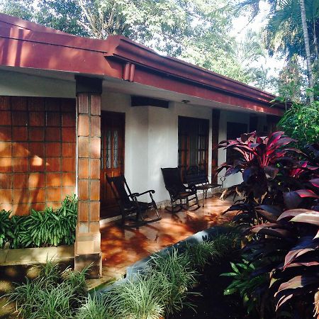 Hotel Villas Colibri Las Ciruelas  Экстерьер фото